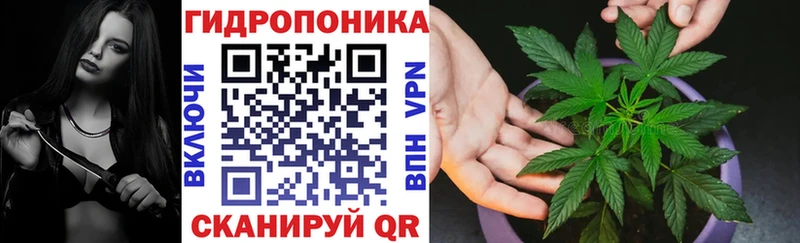 Шишки марихуана семена  купить   Киреевск 
